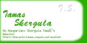 tamas skergula business card